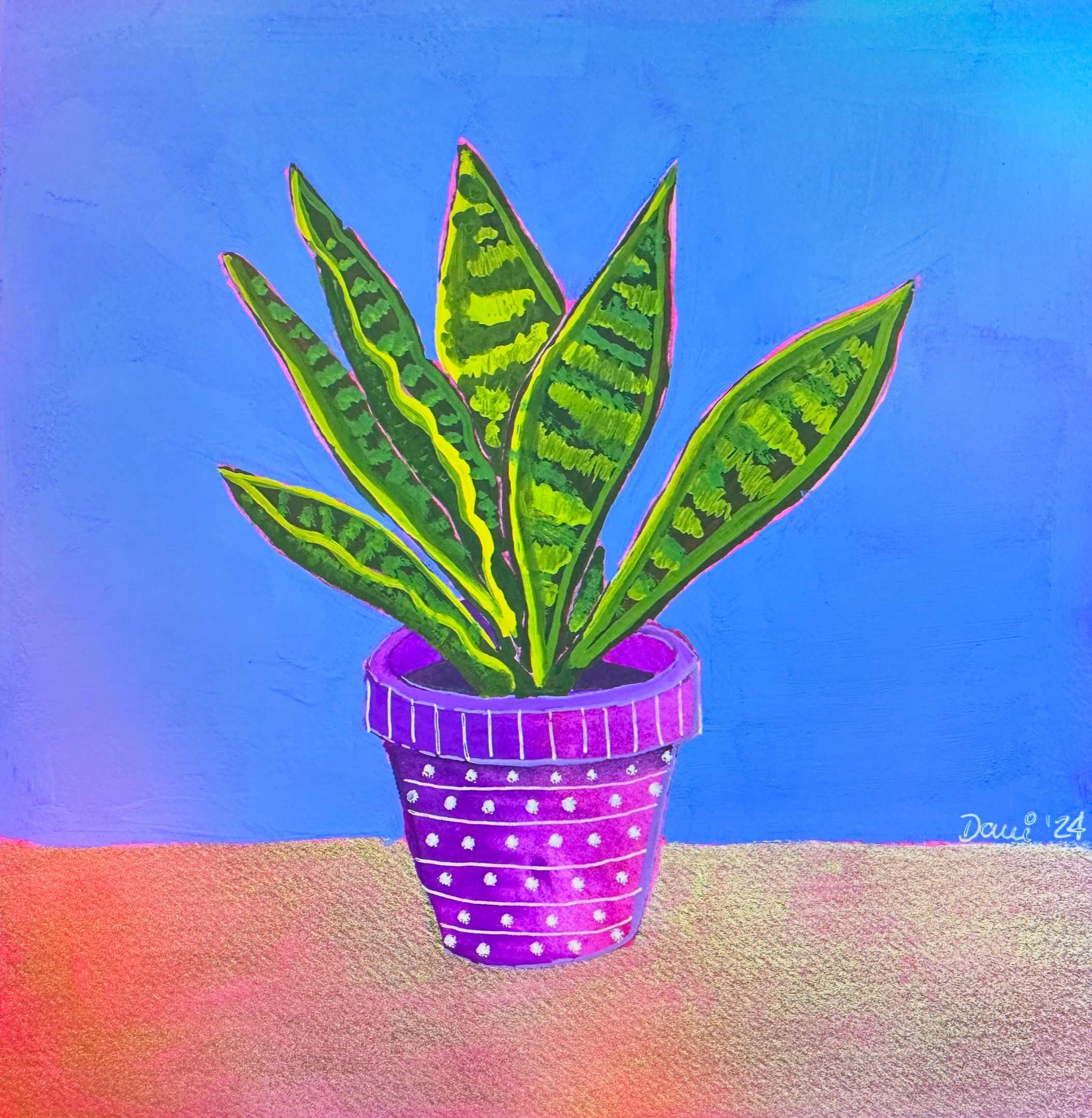 Sanseveria 2